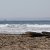 BurnFoundation > Central Coast Beach Adventure 09 photo
