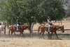 BurnFoundation > Champ Camp 2007- Activities photo