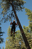BurnFoundation > Family Camp 2007 photo