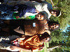 BurnFoundation > Family Camp 2007 photo