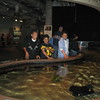 BurnFoundation > Monterey Bay Aquarium Sleepover 08 photo