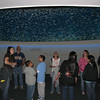 BurnFoundation > Monterey Bay Aquarium Sleepover 08 photo