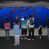 BurnFoundation > Monterey Bay Aquarium Sleepover 08 photo