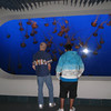 BurnFoundation > Monterey Bay Aquarium Sleepover 08 photo