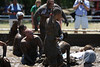BurnFoundation > Champ Camp 2008: Fun Times photo